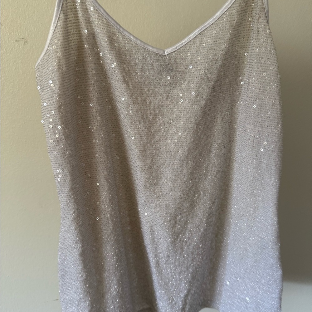 Express Silver Sequin Camisole Top